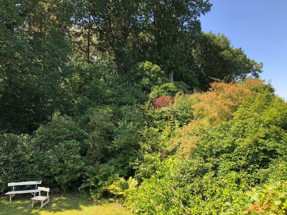 Villa 4 Rooms Hillerød Екстериор снимка